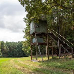 Photo #34 of Off South County Line Rd., Patrick Springs, VA 134.8 acres