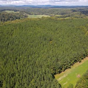 Photo #42 of Off South County Line Rd., Patrick Springs, VA 134.8 acres
