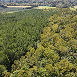 Photo #46 of Off South County Line Rd., Patrick Springs, VA 134.8 acres