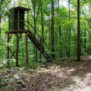 Photo #52 of Off South County Line Rd., Patrick Springs, VA 134.8 acres