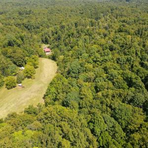 Photo #54 of Off South County Line Rd., Patrick Springs, VA 134.8 acres