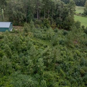 Photo #11 of 100 Haywood Cemetery Road, Rockingham, NC 7.5 acres