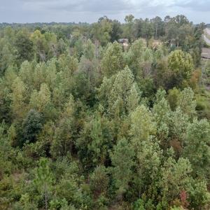 Photo #17 of 100 Haywood Cemetery Road, Rockingham, NC 7.5 acres
