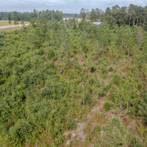 Photo #5 of 100 Haywood Cemetery Road, Rockingham, NC 7.5 acres