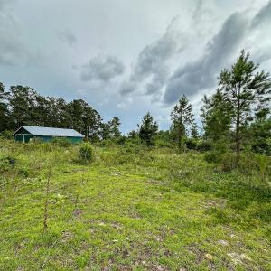 Photo #24 of 100 Haywood Cemetery Road, Rockingham, NC 7.5 acres