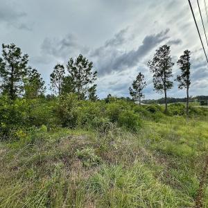 Photo #26 of 100 Haywood Cemetery Road, Rockingham, NC 7.5 acres