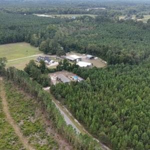 Photo #13 of SOLD property in 204 Tobacco Leaf Rd, Galivants Ferry, SC 1.0 acres