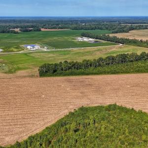 Photo #2 of SOLD property in Off Triple B Lane, Autryville , NC 14.8 acres