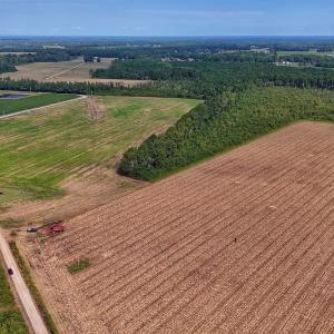 Photo #11 of SOLD property in Off Triple B Lane, Autryville , NC 14.8 acres