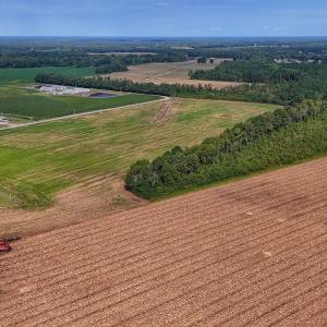 Photo #12 of SOLD property in Off Triple B Lane, Autryville , NC 14.8 acres