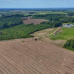 Photo #13 of SOLD property in Off Triple B Lane, Autryville , NC 14.8 acres