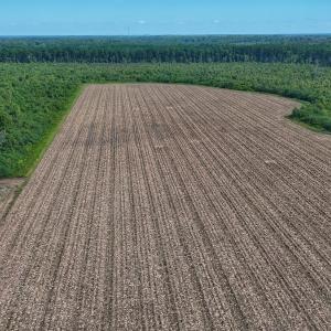 Photo #14 of SOLD property in Off Triple B Lane, Autryville , NC 14.8 acres