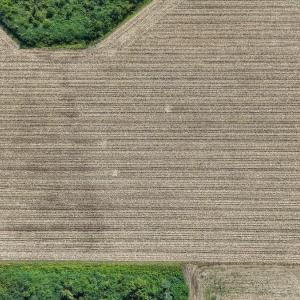 Photo #16 of SOLD property in Off Triple B Lane, Autryville , NC 14.8 acres