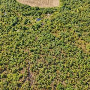 Photo #18 of SOLD property in Off Triple B Lane, Autryville , NC 14.8 acres