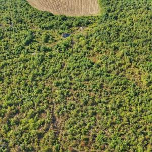 Photo #20 of SOLD property in Off Triple B Lane, Autryville , NC 14.8 acres