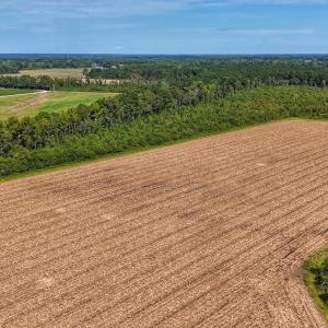 Photo #3 of SOLD property in Off Triple B Lane, Autryville , NC 14.8 acres