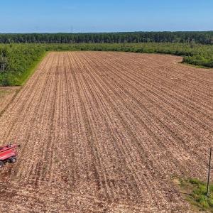 Photo #7 of SOLD property in Off Triple B Lane, Autryville , NC 14.8 acres