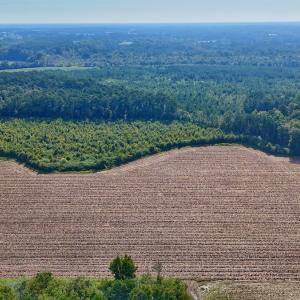 Photo #9 of SOLD property in Off Triple B Lane, Autryville , NC 14.8 acres