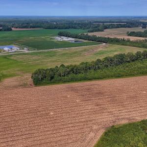 Photo #10 of SOLD property in Off Triple B Lane, Autryville , NC 14.8 acres