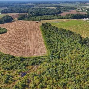 Photo #22 of SOLD property in Off Triple B Lane, Autryville , NC 14.8 acres