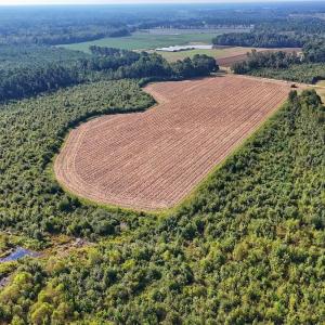 Photo #23 of SOLD property in Off Triple B Lane, Autryville , NC 14.8 acres