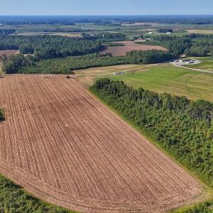 Photo #24 of SOLD property in Off Triple B Lane, Autryville , NC 14.8 acres