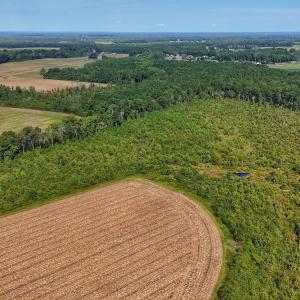 Photo #25 of SOLD property in Off Triple B Lane, Autryville , NC 14.8 acres