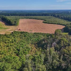 Photo #26 of SOLD property in Off Triple B Lane, Autryville , NC 14.8 acres
