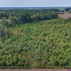 Photo #27 of SOLD property in Off Triple B Lane, Autryville , NC 14.8 acres