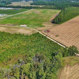 Photo #28 of SOLD property in Off Triple B Lane, Autryville , NC 14.8 acres