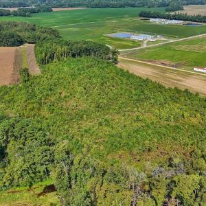 Photo #29 of SOLD property in Off Triple B Lane, Autryville , NC 14.8 acres