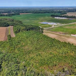 Photo #30 of SOLD property in Off Triple B Lane, Autryville , NC 14.8 acres