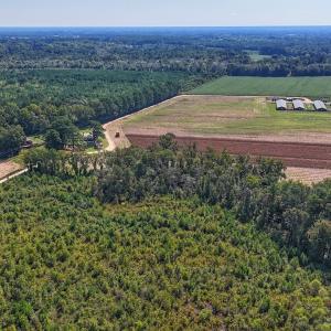 Photo #33 of SOLD property in Off Triple B Lane, Autryville , NC 14.8 acres