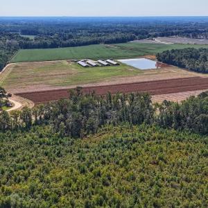 Photo #34 of SOLD property in Off Triple B Lane, Autryville , NC 14.8 acres