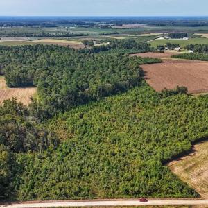 Photo #35 of SOLD property in Off Triple B Lane, Autryville , NC 14.8 acres