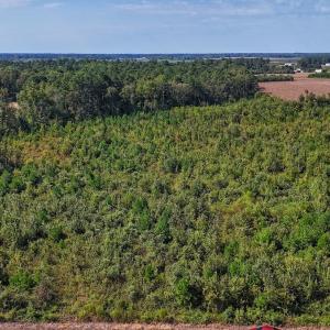 Photo #36 of SOLD property in Off Triple B Lane, Autryville , NC 14.8 acres