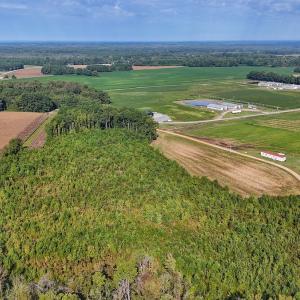 Photo #37 of SOLD property in Off Triple B Lane, Autryville , NC 14.8 acres