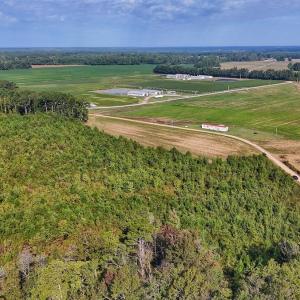 Photo #38 of SOLD property in Off Triple B Lane, Autryville , NC 14.8 acres