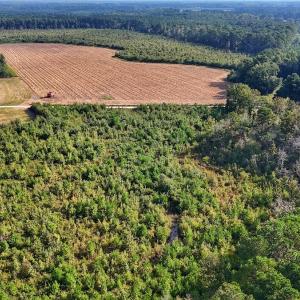 Photo #39 of SOLD property in Off Triple B Lane, Autryville , NC 14.8 acres