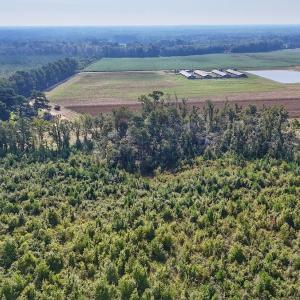 Photo #42 of SOLD property in Off Triple B Lane, Autryville , NC 14.8 acres