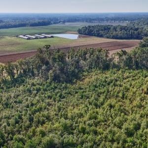 Photo #43 of SOLD property in Off Triple B Lane, Autryville , NC 14.8 acres