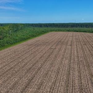 Photo #44 of SOLD property in Off Triple B Lane, Autryville , NC 14.8 acres