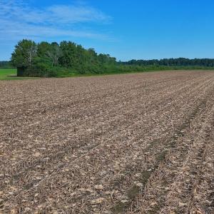 Photo #45 of SOLD property in Off Triple B Lane, Autryville , NC 14.8 acres