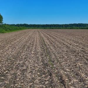 Photo #46 of SOLD property in Off Triple B Lane, Autryville , NC 14.8 acres