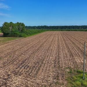 Photo #47 of SOLD property in Off Triple B Lane, Autryville , NC 14.8 acres