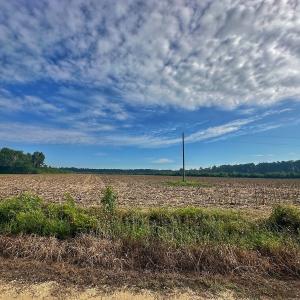 Photo #48 of SOLD property in Off Triple B Lane, Autryville , NC 14.8 acres