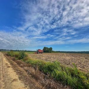 Photo #49 of SOLD property in Off Triple B Lane, Autryville , NC 14.8 acres