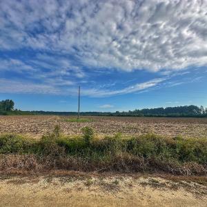 Photo #52 of SOLD property in Off Triple B Lane, Autryville , NC 14.8 acres