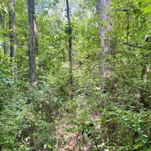 Photo #11 of SOLD property in 1450 Elgin Av , High Point, NC 1.9 acres