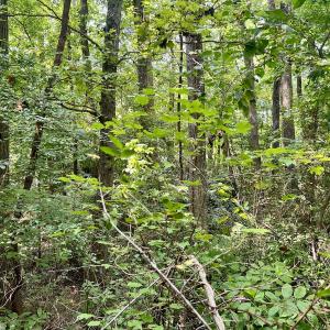 Photo #12 of SOLD property in 1450 Elgin Av , High Point, NC 1.9 acres